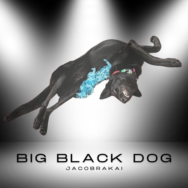 Big Ol' Black Dog — cover art